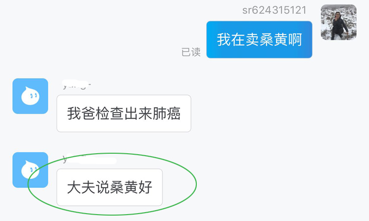 醫生建議肺癌吃桑黃