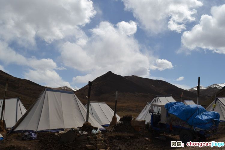 傍晚蟲草采集臨時(shí)帳篷