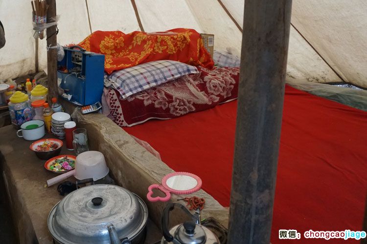 冬蟲夏草臨時(shí)帳篷內(nèi)部擺設(shè)圖片