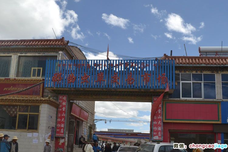 那曲蟲草交易市場圖片 那曲蟲草交易市場圖片