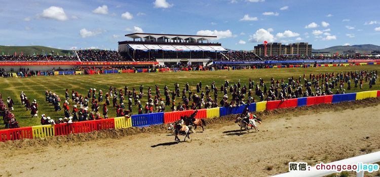 那曲賽馬場圖片 那曲賽馬場圖片