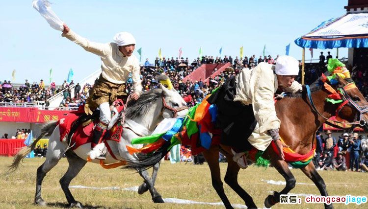 那曲賽馬節撿哈達比賽 那曲賽馬節撿哈達比賽