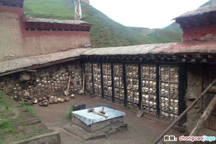 請輸入圖片描述