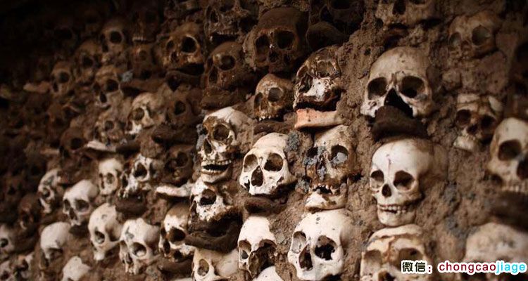 請輸入圖片描述