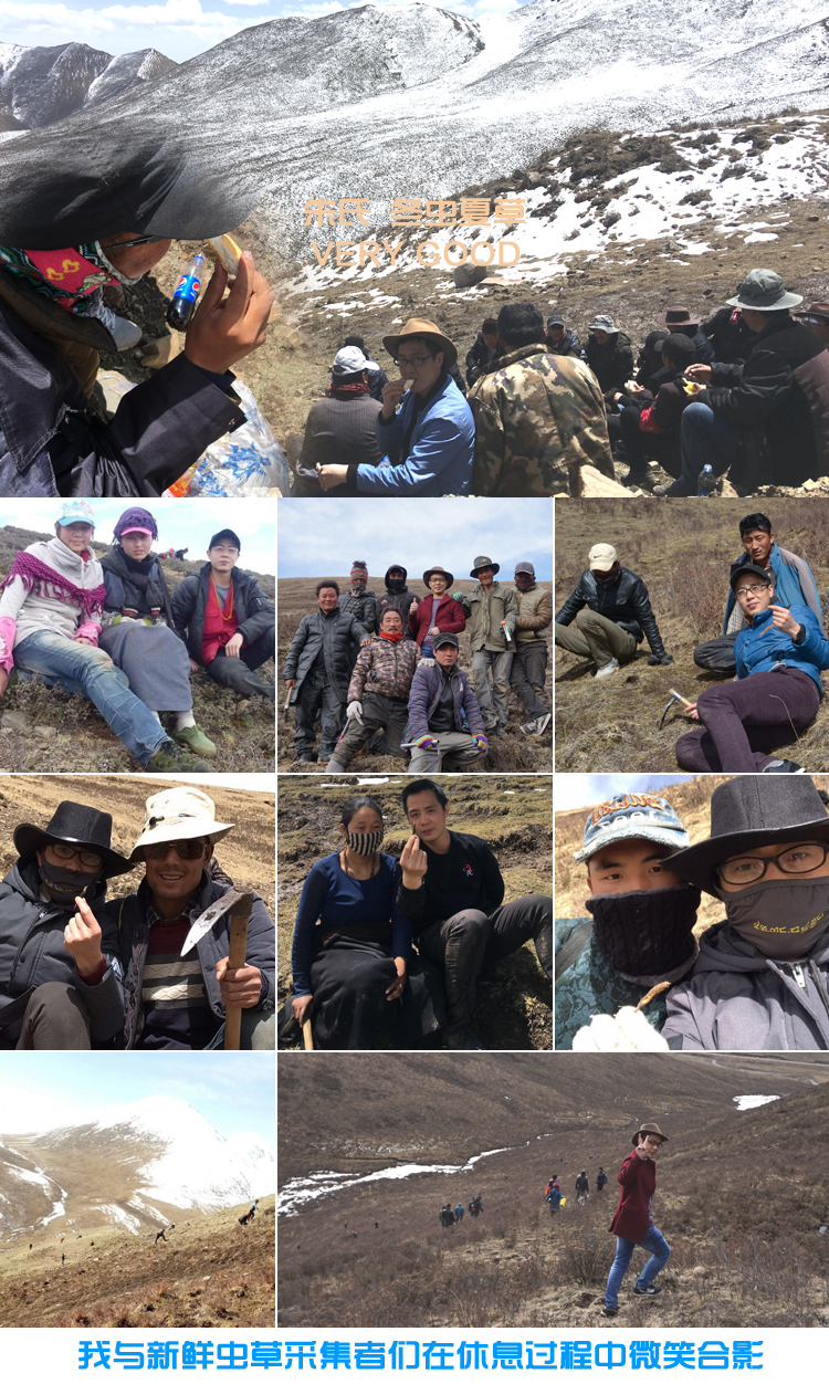 與冬蟲夏草采挖者合影