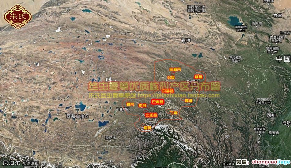 冬蟲夏草最好的產(chǎn)地地圖 冬蟲夏草最好的產(chǎn)地地圖