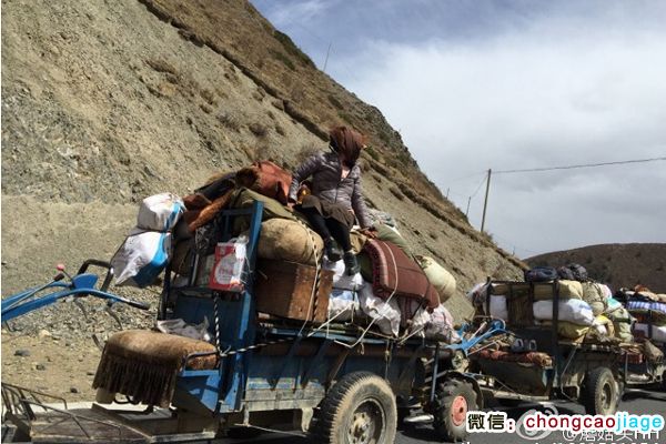 開農用拖拉機去采挖蟲草 開農用拖拉機去采挖蟲草
