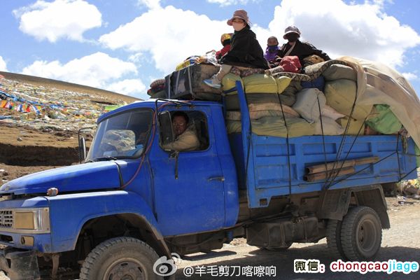 開卡車去采挖冬蟲夏草 開卡車去采挖冬蟲夏草