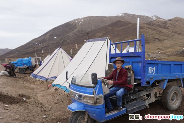 冬蟲夏草采挖大軍宿營地近距離圖片