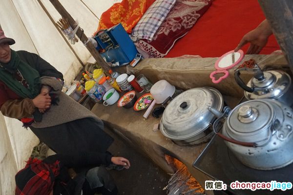 冬蟲夏草采挖大軍宿營地內部圖片