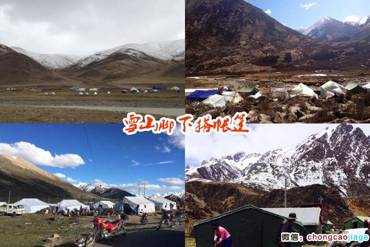 冬蟲夏草采挖大軍扎營圖片 冬蟲夏草采挖大軍扎營圖片