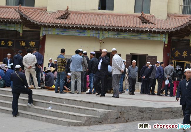 西寧勤奮巷冬蟲夏草批發市場（青海玖鷹冬蟲夏草交易中心）