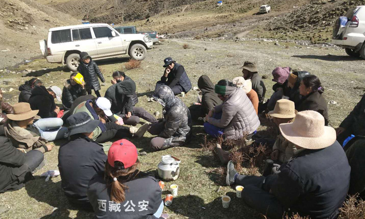 那曲比如蟲草采集點知識宣傳 那曲比如蟲草采集點知識宣傳