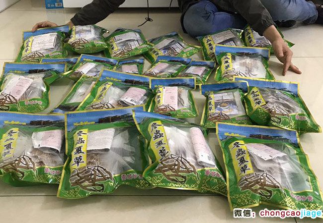 冬蟲夏草電商賣家