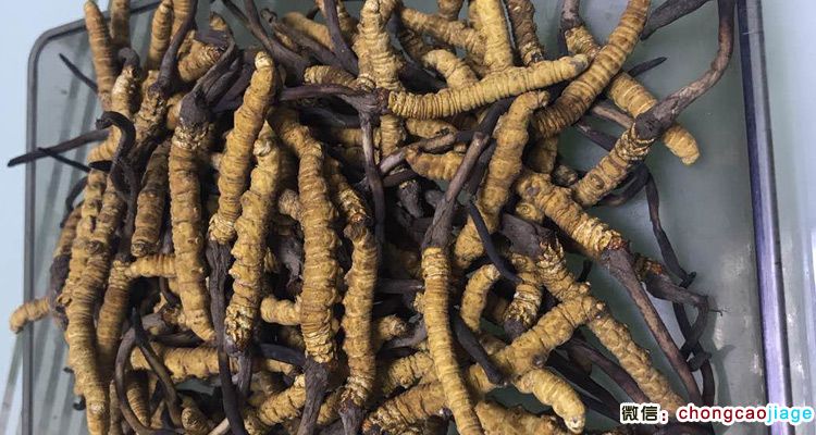 請(qǐng)輸入圖片描述