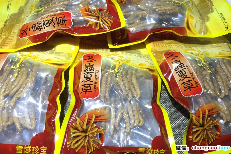 2條1克冬蟲夏草真空包裝