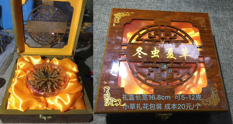 10克冬蟲夏草禮盒裝圖片 10克冬蟲夏草禮盒裝圖片