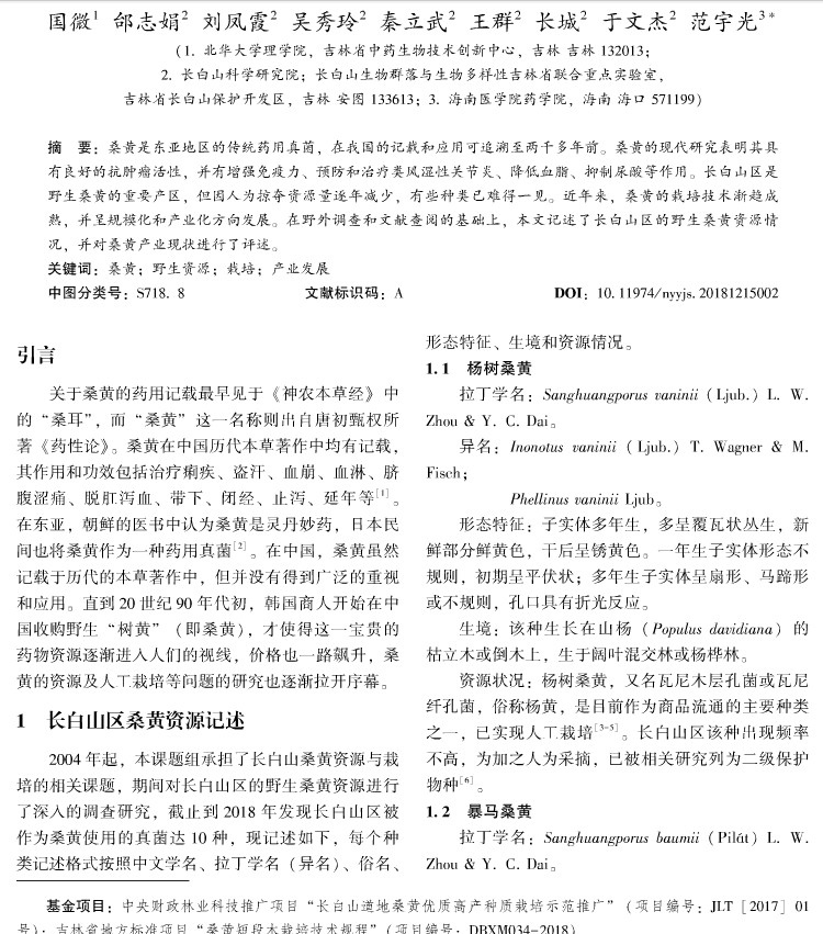 長白山桑黃種類