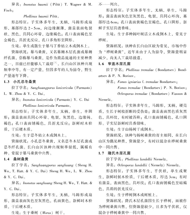 長白山桑黃中沒有桑樹桑黃