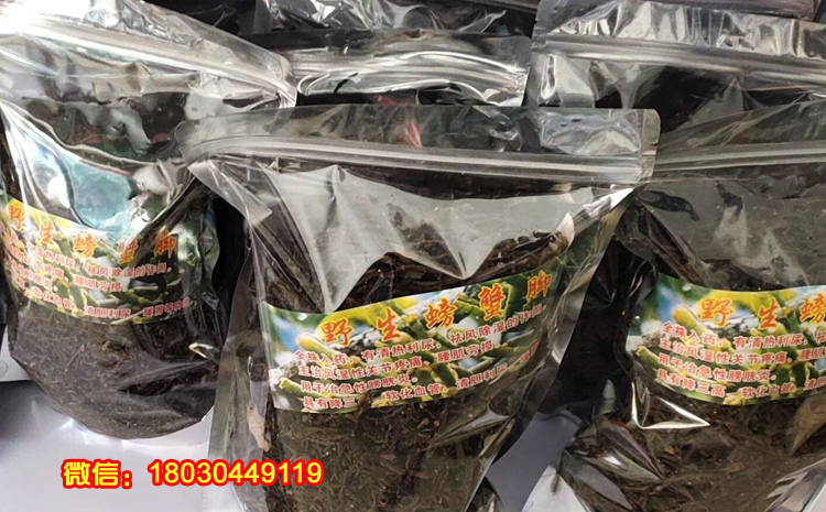 野生螃蟹腳茶圖片