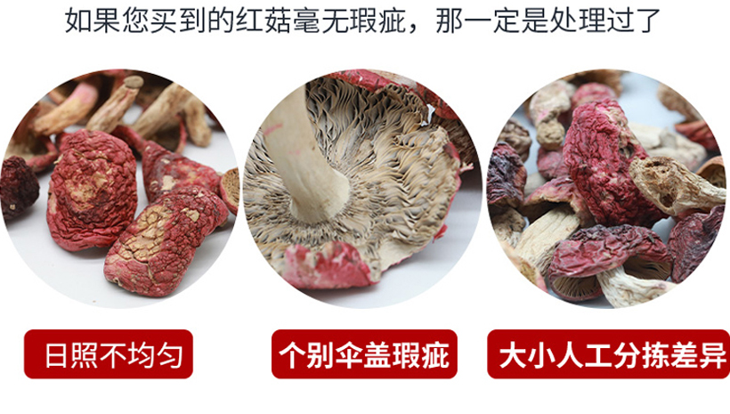 野生紅菇特征圖片 野生紅菇特征圖片