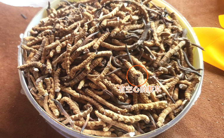 有空心的斷草 有空心的斷草