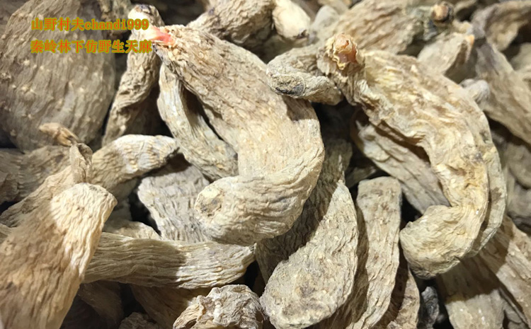 秦嶺仿野生天麻圖片