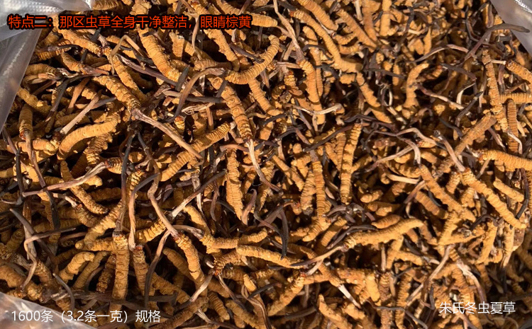那曲冬蟲夏草的特點之潔凈度高