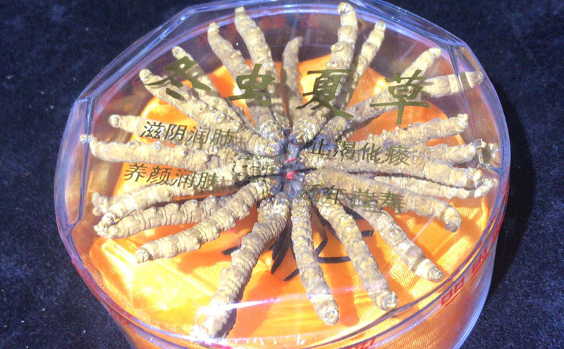 冬蟲夏草10克扎花圖片