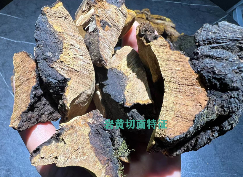 巖黃切面圖片 巖黃切面圖片