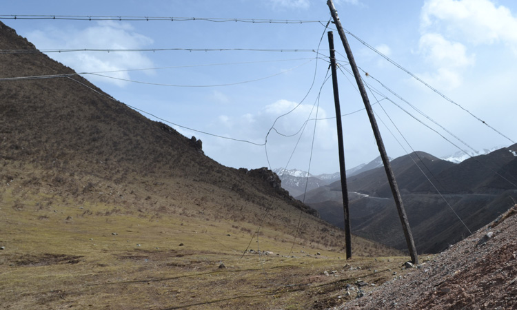 遠處的雪山就是蟲草生長的地方