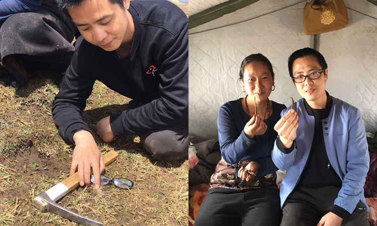 與采挖新鮮蟲草的藏族美女合影