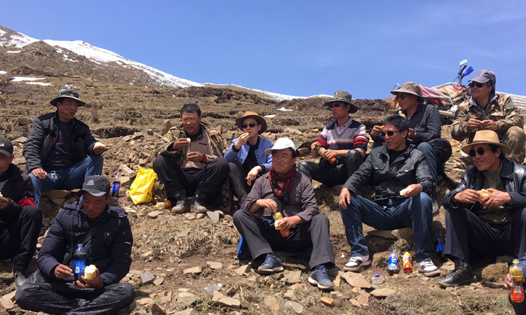 與新鮮冬蟲夏草采挖者們的合影